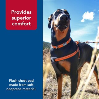 Foto 5 | Foto 5 | Arnés Para Perros Coastal K9 Explorer Reflectante Ajustable Grande - Venta Internacional.