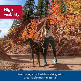 Foto 6 | Foto 6 | Arnés Para Perros Coastal K9 Explorer Reflectante Ajustable Grande - Venta Internacional.