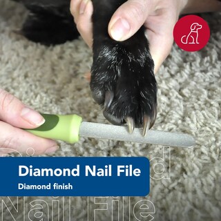 Foto 3 | Foto 3 | Lima De Uñas Coastal Safari Dog Con Acabado De Diamante Talla Única - Venta Internacional.
