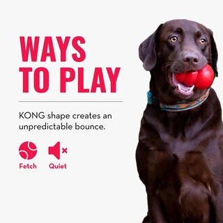 Foto 5 | Foto 5 | Toy Kong Bounzer Medium Para Juegos De Buscar Y Recuperar - Venta Internacional.