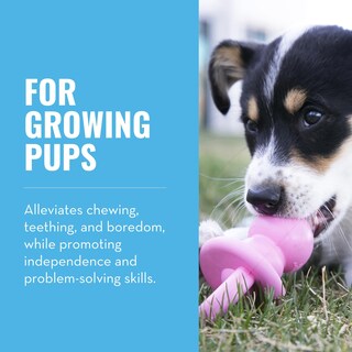 Foto 2 | Foto 2 | Chupete Dog Toy Kong Puppy Binkie Para Cachorros En Proceso De Dentición - Venta Internacional.