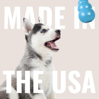 Foto 5 | Foto 5 | Chupete Dog Toy Kong Puppy Binkie Para Cachorros En Proceso De Dentición - Venta Internacional.