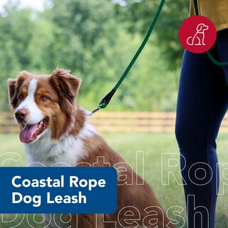Foto 2 | Foto 2 | Cuerda Leash Coastal Rope De Nailon Suave Trenzado 1 3 Cm X 1 8 M Color Verde Azulado - Venta Internacional.