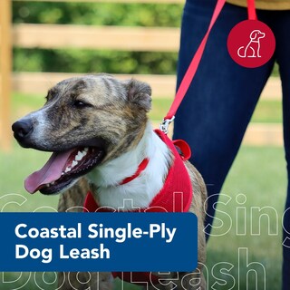 Foto 2 | Foto 2 | Correa Para Perros Coastal De Una Sola Capa Roja 1 6 Cm X 1 8 M Duradera - Venta Internacional.