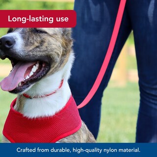 Foto 3 | Foto 3 | Correa Para Perros Coastal De Una Sola Capa Roja 1 6 Cm X 1 8 M Duradera - Venta Internacional.