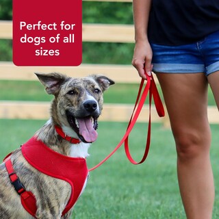 Foto 5 | Foto 5 | Correa Para Perros Coastal De Una Sola Capa Roja 1 6 Cm X 1 8 M Duradera - Venta Internacional.