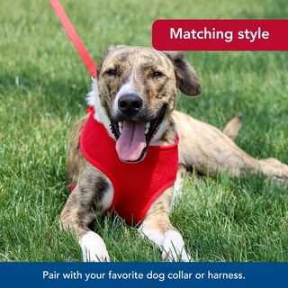 Foto 6 | Foto 6 | Correa Para Perros Coastal De Una Sola Capa Roja 1 6 Cm X 1 8 M Duradera - Venta Internacional.