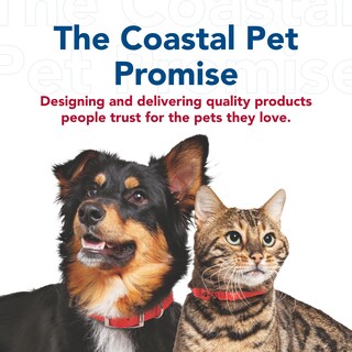 Foto 7 | Foto 7 | Correa Para Perros Coastal De Una Sola Capa Roja 1 6 Cm X 1 8 M Duradera - Venta Internacional.