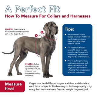 Foto 7 | Foto 7 | Collar De Adiestramiento Para Perros Coastal Ajustable 2-3 M Negro - Venta Internacional.