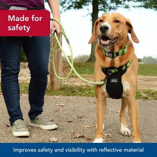 Foto 3 | Foto 3 | Cuerda Trenzada Reflectante Leash Coastal K-9 Explorer De 1 5 M - Venta Internacional.