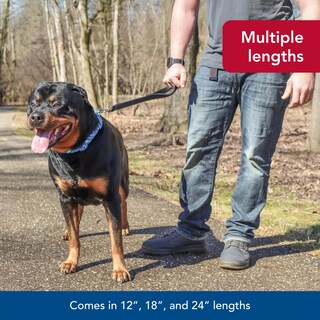Foto 6 | Foto 6 | Correa Para Perros Coastal De Doble Capa 2 5 Cm X 61 Cm Negra - Venta Internacional.