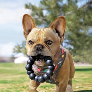 Foto 3 | Foto 3 | Juguete Con Anillos De Goma Kong Extreme Para Perros Tamaño Xl Que Mastican Saludablemente - Venta Internacional.