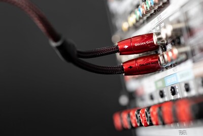 Foto 5 | Foto 5 | Cable De Audio Rca Audioquest Golden Gate  Par Estéreo De 8 M - Venta Internacional.
