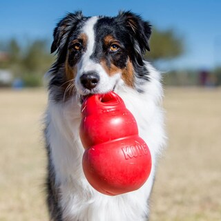 Foto 2 | Foto 2 | Fetch Toy Kong Bounzer Xl Para Perros - Venta Internacional.