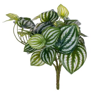 Foto 1 | Foto 1 | Sandía Artificial Peperomia Bush Vickerman 28 Cm Paquete De 2 - Venta Internacional.