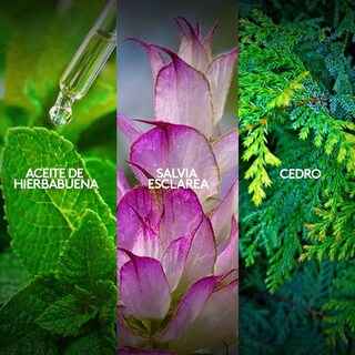 Foto 2 | Foto 2 | Perfume Kalos Sport de Esika 100 ml