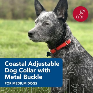 Foto 2 | Foto 2 | Collar Para Perro Coastal Con Hebilla Metálica Ajustable De 2 A 3 5 Cm X 36 A 51 Cm  Color Rojo - Venta Internacional.