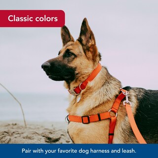 Foto 6 | Foto 6 | Collar Para Perro Coastal Con Hebilla Metálica Ajustable De 2 A 3 5 Cm X 36 A 51 Cm  Color Rojo - Venta Internacional.