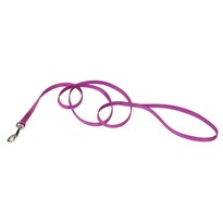 Correa Para Perro Coastal 1 Cm X 1.8 M Orquídea Resistente Y Duradera - Venta Internacional.