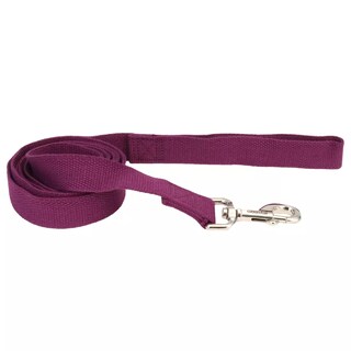 Foto 1 | Foto 1 | Correa Para Perros Coastal New Earth Soy  1 6 Cm X 1 8 M  Berenjena - Venta Internacional.