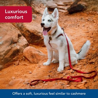 Foto 3 | Foto 3 | Correa Para Perros Coastal New Earth Soy  1 6 Cm X 1 8 M  Berenjena - Venta Internacional.