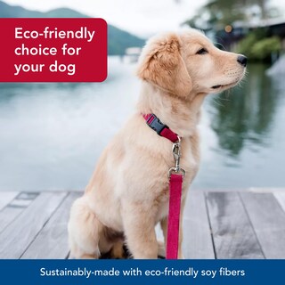 Foto 4 | Foto 4 | Correa Para Perros Coastal New Earth Soy  1 6 Cm X 1 8 M  Berenjena - Venta Internacional.