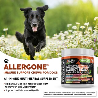 Foto 4 | Foto 4 | Suplemento Allergone Para Perros - Alivio De Alergias Por Clean Pets - Venta Internacional.