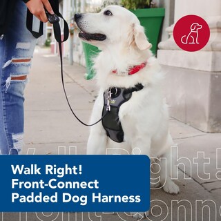Foto 2 | Foto 2 | Arnés Para Perros Coastal Walk Right  Acolchado  Sin Tirones  Ajustable  Sml - Venta Internacional.