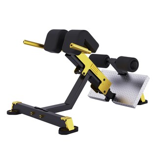 Foto 2 | Foto 2 | Gimnasio Profesional Dhz Titan Mechanix Back Extension
