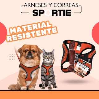 Foto 4 | Foto 4 | Set Arnés Y Correa Fancy Pets Naranja Sportie Para Perro Chico