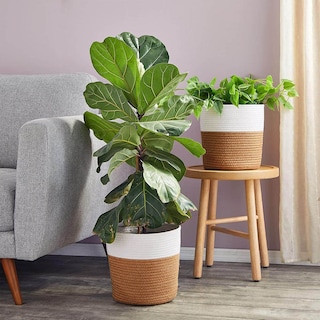 Foto 4 | Foto 4 | Cesta De Cuerda De Algodónperfect Space Modelo Cc25 (30x30 Cm  Plegable  Arpillera Mixta Blanco  Decoración Moderna  Interior/ho