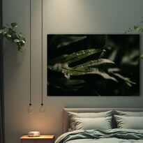 Cuadro Decorativo Planta 60x80cm Helecho