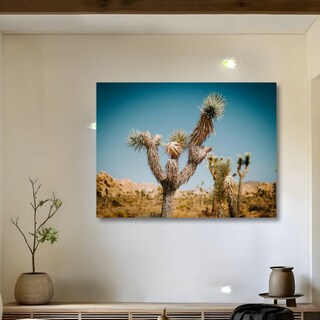 Foto 1 | Foto 1 | Cuadro Decorativo Planta 60x80cm Palma Desértica