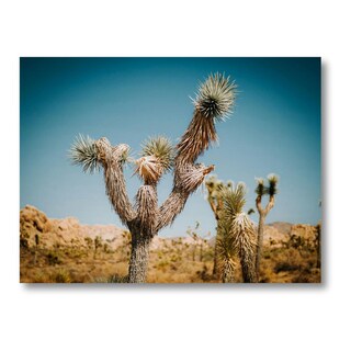 Foto 2 | Foto 2 | Cuadro Decorativo Planta 60x80cm Palma Desértica