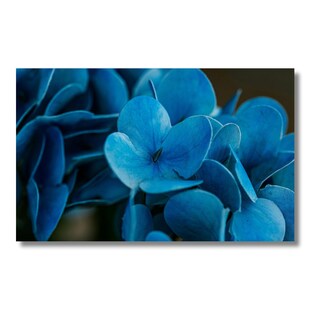 Foto 2 | Foto 2 | Cuadro Decorativo Planta 120x160cm Hortensia Azul