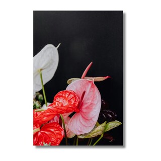 Foto 2 | Foto 2 | Cuadro Decorativo Planta 60x80cm Anturio