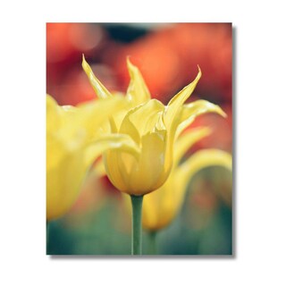 Foto 2 | Foto 2 | Cuadro Decorativo Planta 20x30cm Lirio Amarillo