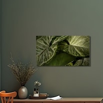 Cuadro Decorativo Planta 20x30cm Caña Muda