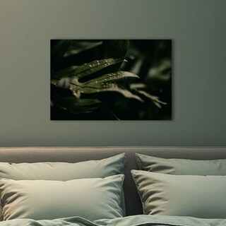 Foto 1 | Foto 1 | Cuadro Decorativo Planta 20x30cm Helechos