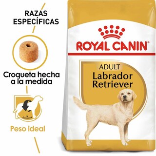 Foto 2 | Foto 2 | Royal Canin Bhn Labrador Retriever 13.6 Kg Original + Pelota Spiny Caucho