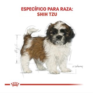 Foto 3 | Foto 3 | Royal Canin Bhn Shih Tzu Puppy 1.14 Kg Original Sellado + Pelota Spiny Caucho