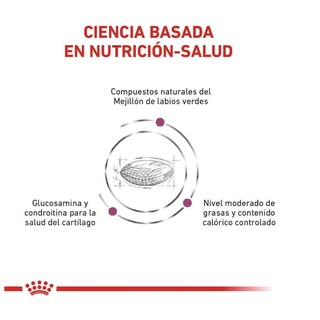 Foto 3 | Foto 3 | Royal Canin Advanced Mobility Canine12 Kg + Pelota Spiny Caucho