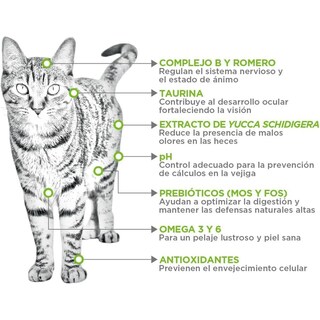 Foto 2 | Foto 2 | Nupec Felino Adulto Indoor 3kg + Pelota Spiny Caucho