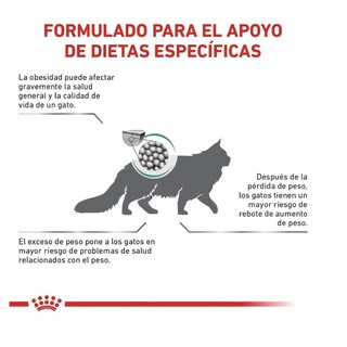Foto 2 | Foto 2 | Royal Canin Satiety Support Feline 3.5 Kg + Pelota Spiny Caucho