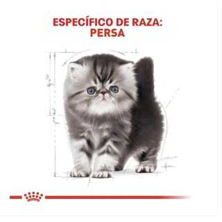 Foto 4 | Foto 4 | Royal Canin Persian Kitten 1.36 Kg Original Sellado + Pelota Spiny Caucho