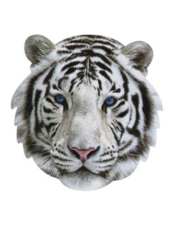 Foto 3 | Foto 3 | Rompecabezas Tigre Blanco 236 Piezas