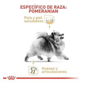 Foto 3 | Foto 3 | Royal Canin Bhn Pomeranian Adult 1.1 Kg Original + Pelota Spiny Caucho