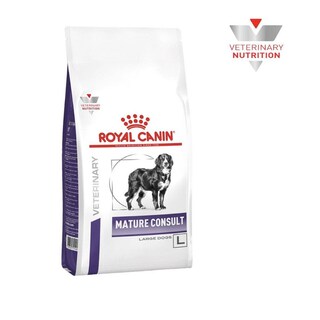 Foto 2 | Foto 2 | Royal Canin Mature Consult Large Dog 13 Kg + Pelota Spiny Caucho