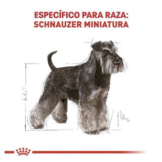 Foto 2 | Foto 2 | Royal Canin Bhn Miniature Schnauzer 4.55 Kg Original + Pelota Spiny Caucho