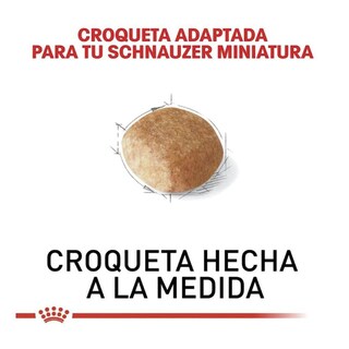 Foto 3 | Foto 3 | Royal Canin Bhn Miniature Schnauzer 4.55 Kg Original + Pelota Spiny Caucho
